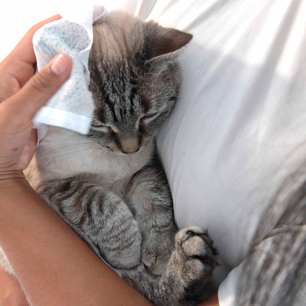 Pet Wipes - Image 2
